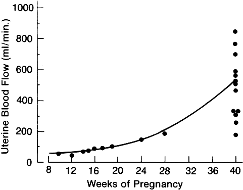 Uteroplacental Blood Flow