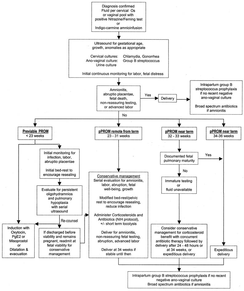 Amniochorionic Membrane