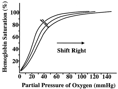 Hemoglobin Oxygen Curve