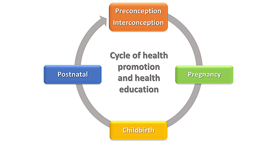 Buy Preconception Care makes a difference : Pre-pregnancy care and  counseling identify risk factors, do interventions to modify them, optimize  health and prepare mother for healthy pregnancy outcome. Book Online at Low